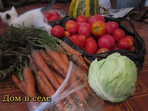 Экологически чистые продукты в Украине