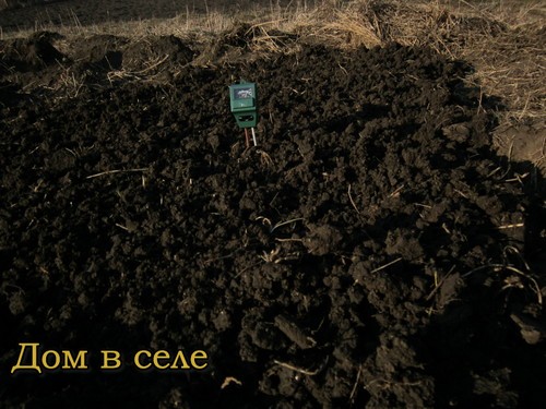 Как измерить влажность почвы