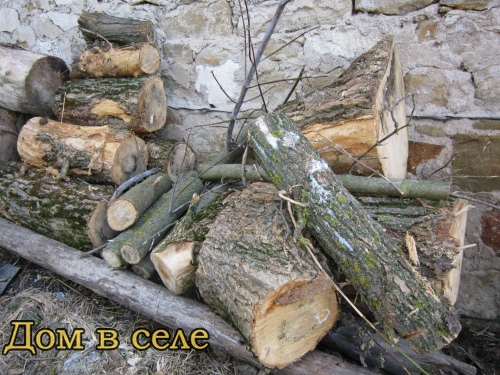 Купить дрова Ясень