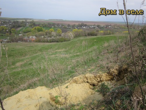 Лисьи норы возле села. За едой далеко ходить не надо